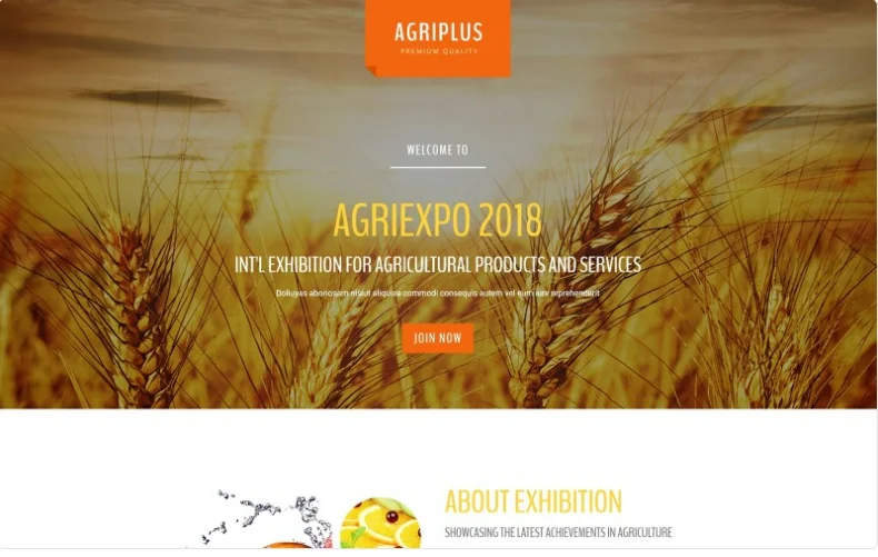 agencia desarrollo web software a la medida marketing digital Colón Putumayo colombia