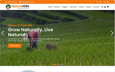 agencia desarrollo web software a la medida marketing digital Pueblo Bello Cesar colombia