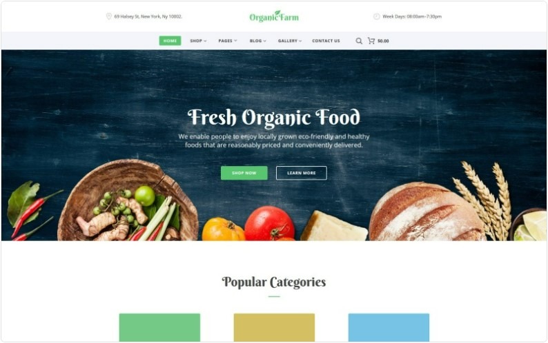 agencia desarrollo web software a la medida marketing roldanillo Valle del Cauca colombia
