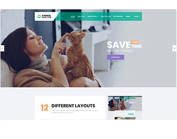 Diseño de paginas web